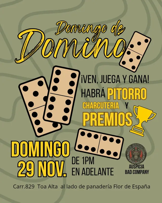 Afiche de Domingo de Dominó del Chapu PR en Toa Alta